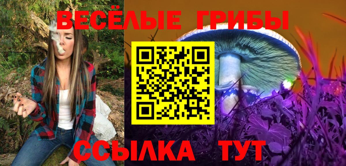 Галлюциногенные грибы Magic Shrooms  Галлюциногенные грибы GOLDEN TEACHER  Вход с VPN  Лесосибирск 